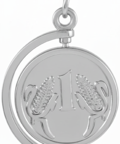 Alternative view of Indian Rupee Rotatable Stainless Steel Coin Necklaces