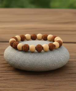 Alternative view of Sacred Harmony Siddh 5-Mukhi Rudraksha & Tulsi Elastic Bracelet