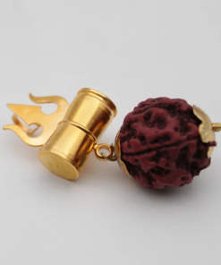 Alternative view of Trishakti Sangam The Ultimate Mahadev Rudraksha Pendant Set