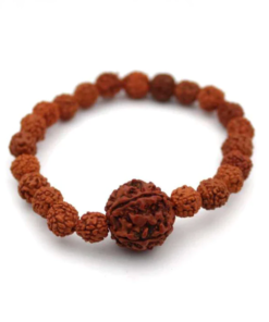 Authentic 5-Face (Panch Mukhi) Rudraksha Bracelet for Men & Women