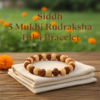 Sacred Harmony Siddh 5-Mukhi Rudraksha & Tulsi Elastic Bracelet