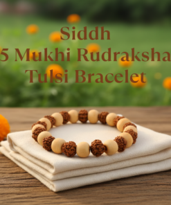 Sacred Harmony Siddh 5-Mukhi Rudraksha & Tulsi Elastic Bracelet