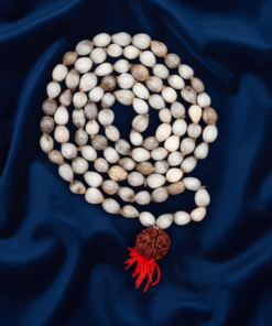 Sacred Vaijayanti Mala (108+1 Beads) – The Garland of Victory