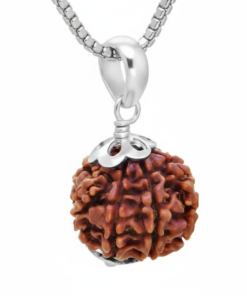 Alternative view of Authentic 13 Mukhi Nepali Rudraksha Silver Pendant with Stainless Steel