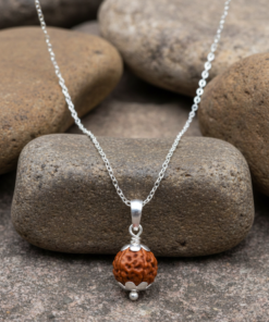 Alternative view of 5 Mukhi Nepali Rudraksha Silver Pendant with Stainless Steel Chain For Girls
