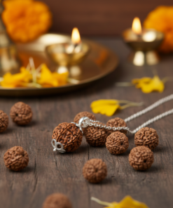 Rudraksha