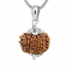Authentic 10 Mukhi Nepali Rudraksha Silver Pendant with Stainless Steel