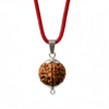 Authentic 3 Mukhi Nepali Rudraksha Silver Pendant with Red M
