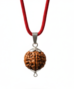 Authentic 3 Mukhi Nepali Rudraksha Silver Pendant with Red M