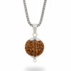 Authentic 3 Mukhi Nepali Rudraksha Silver Pendant with Stainles