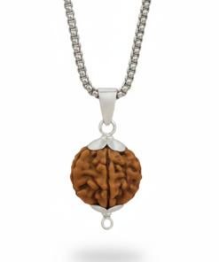 Authentic 6 Mukhi Nepali Rudraksha Silver Pendant with Stainles