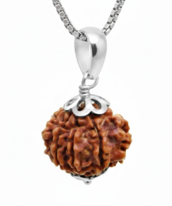 Authentic 7 Mukhi Nepali Rudraksha Silver Pendant with Stainles