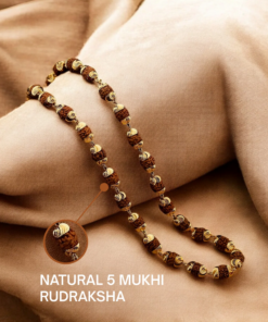 Alternative view of Authentic 5 Mukhi  Rudraksha Golden Cap Chain  With High Grade Gold Plated Coating