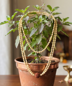 Alternative view of 2-Layer White Tulsi Kanthi Mala with Central Rudraksha Bead – Sacred Spiritual Necklace